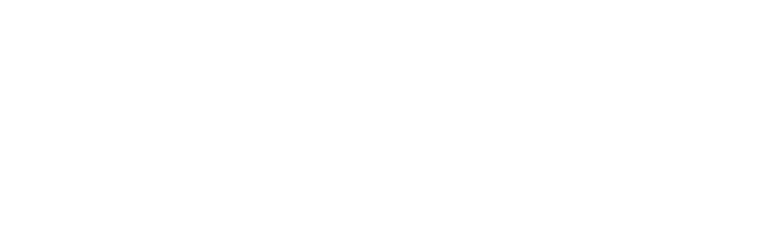 logo - white - Nomad